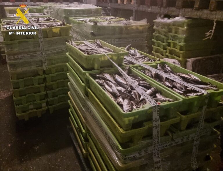 Incautan 3.250 kilos de jurel en el puerto de Camariñas