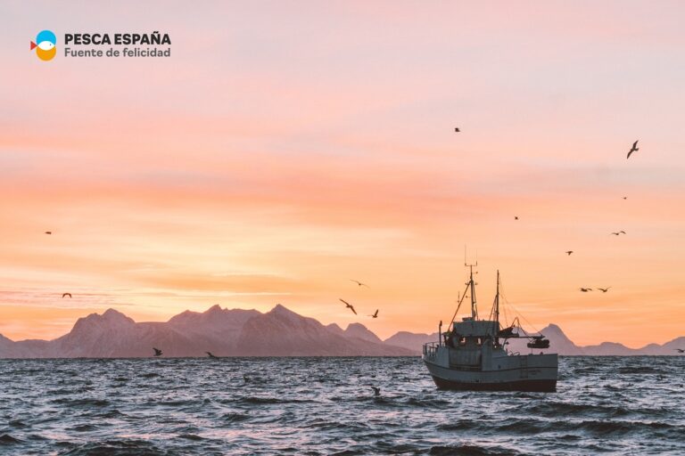 Pesca España cumple un año: Un compromiso Firme con los productos pesqueros